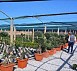 Girando per i Vivai del Consorzio