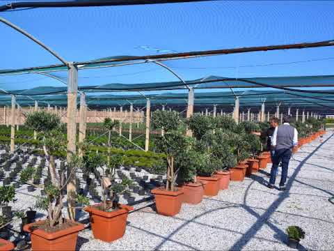 Girando per i Vivai del Consorzio Girando per i Vivai del Consorzio