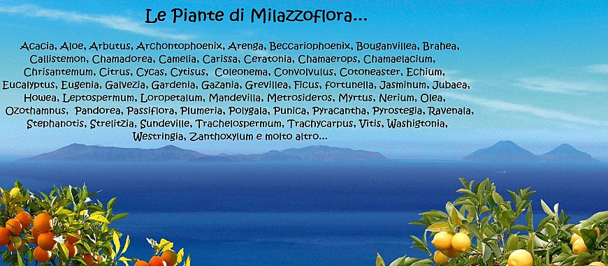 Le Ns piante Le Ns piante