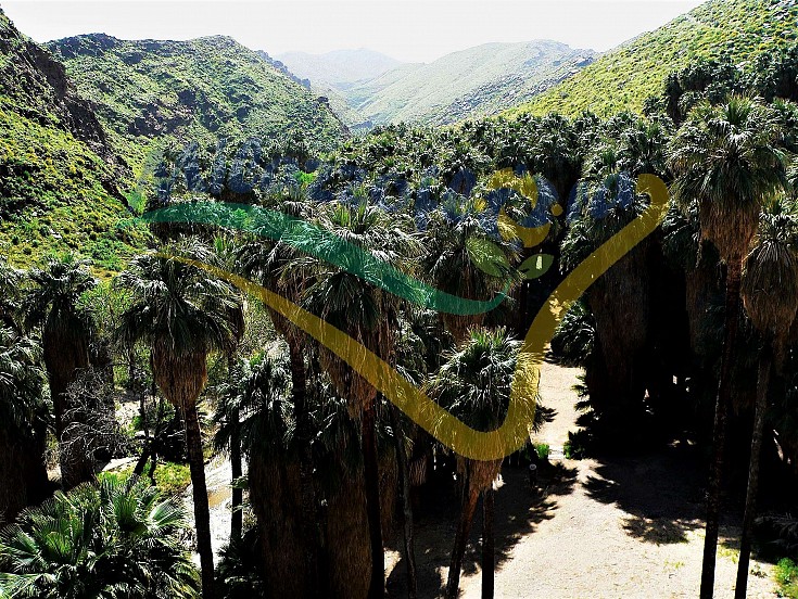 Sulle montagne del nord del Messico Sulle montagne del nord del Messico